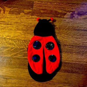 XS dog lady bug costume